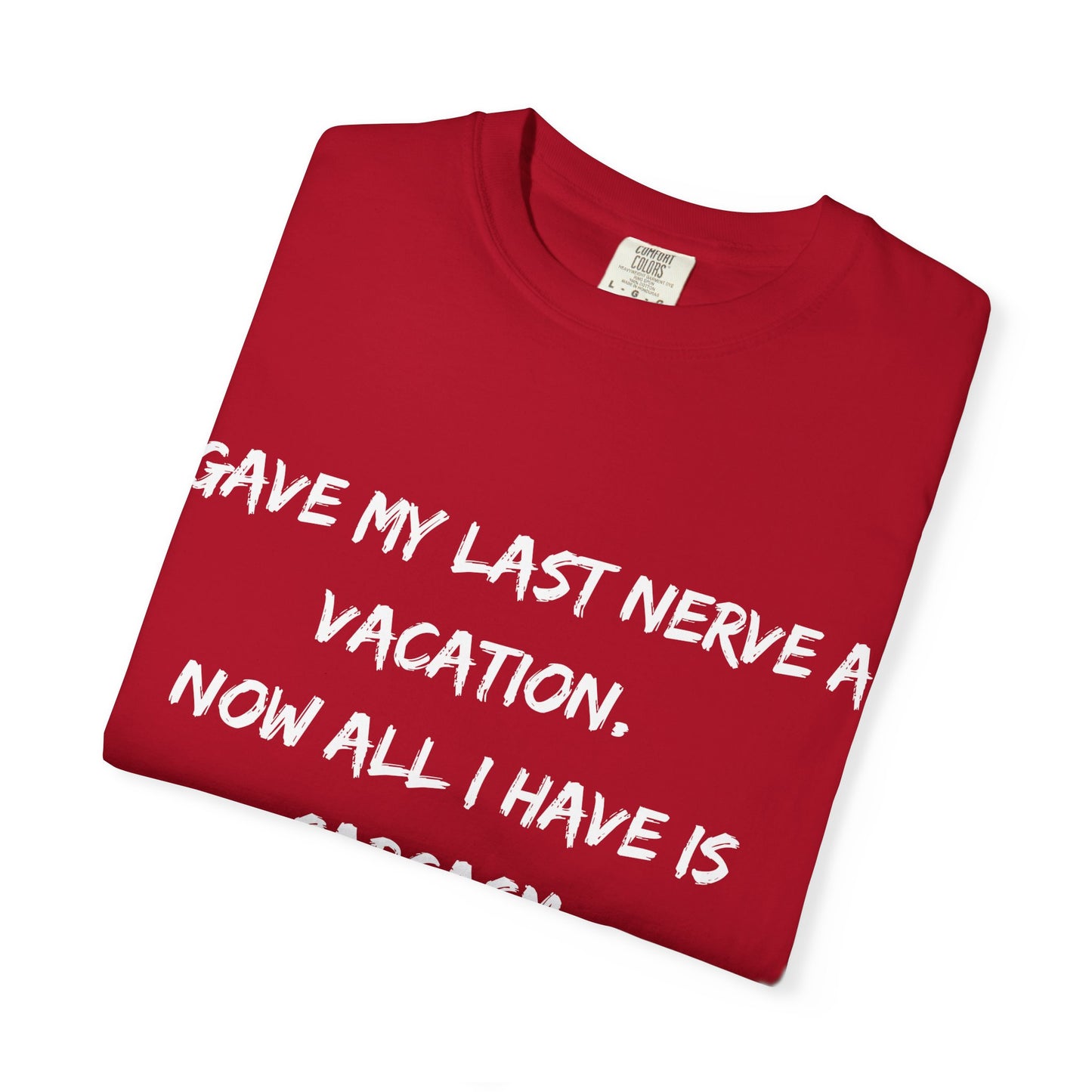 Sarcastic Unisex Tee, Humorous Graphic T-Shirt, Gift for Friends, Casual Wear, Relaxation Shirt, December Birthday Gift